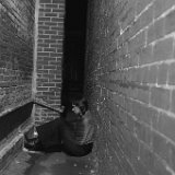 AISD10 11376-med  "Thematic" and cosplay series - Mythography Creations (tm) fantasy portraits and art by Jeff Knowles : mythography creations, themed, thematic, fantasy, portraits