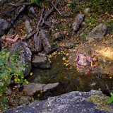 0111e2  Images from Telaria River, an orginal full-length faerie tale novel : faerie, fairy, Mythography Creations, Telaria River